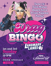 Load image into Gallery viewer, Drag Bingo!
